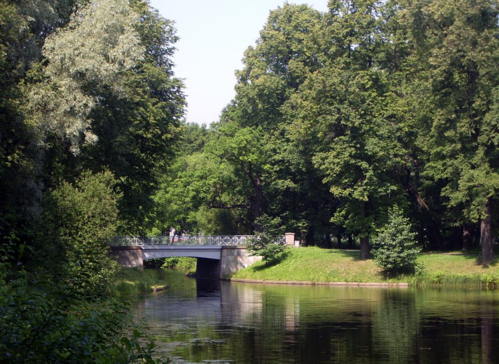 вид на набережную Невки